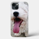 Search for maltipoo electronics Animal