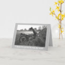 Search for fake cards Photography