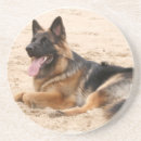 Search for german shepherd coasters Canine