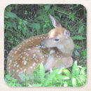 Search for fawn coasters Forest