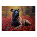 Search for cane corso posters Pet