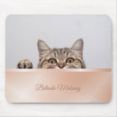 Search for peek mouse mats Cat