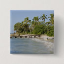 Search for shorelines badges Tree