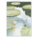 Search for pond reflection Fish