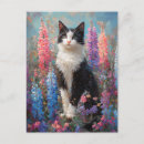 Search for black and white flowers postcards Tuxedo cat