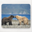 Search for public land mouse mats Wildlife