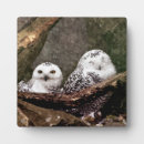 Search for wildlife plaques Bird lover