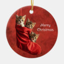 Search for kitten christmas tree decorations Elegant