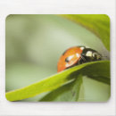 Search for ladybirds mouse mats Nature