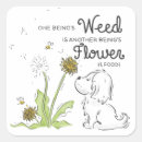 Search for bee weed Weeds