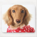 Search for valentines mouse mats Animal