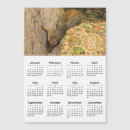 Search for nuts office supplies Squirrel