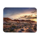 Search for red rock canyon magnets Mojave desert