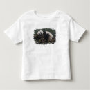 Search for panda giant tshirts Animal