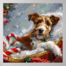 Search for fox terrier posters Pet