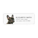Search for french bulldog return address labels Cute