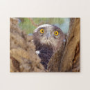 Search for danita delimont puzzles Copy space