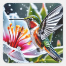 Search for hummingbird stickers Botanical