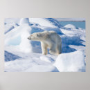 Search for spitsbergen art Norway