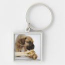 Search for animal scale key rings Food and drink