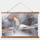 Search for bellies art Red bellied woodpecker