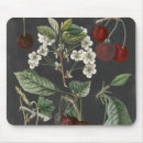 Search for orchard mouse mats Fruit