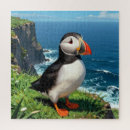 Search for puffin puzzles Ocean
