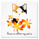 Search for japanese bobtail cat posters Kitty