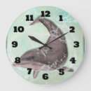 Search for dolphin clocks Ocean