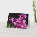 Search for azaleas cards Summer