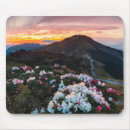 Search for peak electronics Meadow