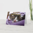 Search for cute kitty image cards Adorable