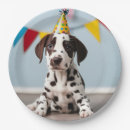 Search for dalmatian paper plates Dog