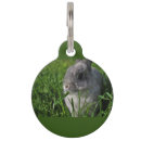 Search for time pet supplies Grey
