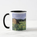 Search for countryside mugs Rural scene