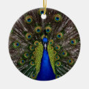 Search for peacock feather christmas tree decorations Photography