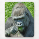 Search for primate mouse mats Cute
