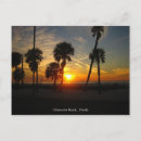 Search for clearwater postcards Vacation