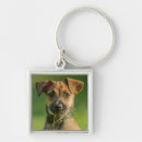 Search for animal collar key rings Pet
