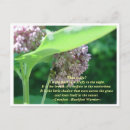 Search for life is beautiful cards Motivational
