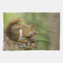 Search for canada tea towels Nature