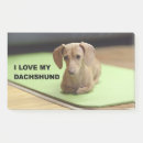 Search for dachshund post it notes Hound