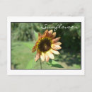 Search for september photography Nature