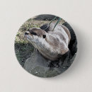 Search for otters badges Mustelids
