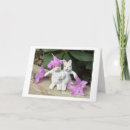 Search for white rabbit cards Rabbits