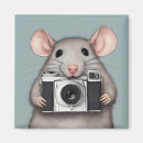 Search for rat magnets Animal