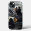 Search for puffins cases Tufted puffin