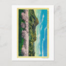 Search for orchards postcards California