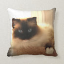 Search for ragdoll cat cushions Kitty