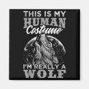 Search for wolf magnets 2026